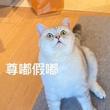 Fiona’s daily news